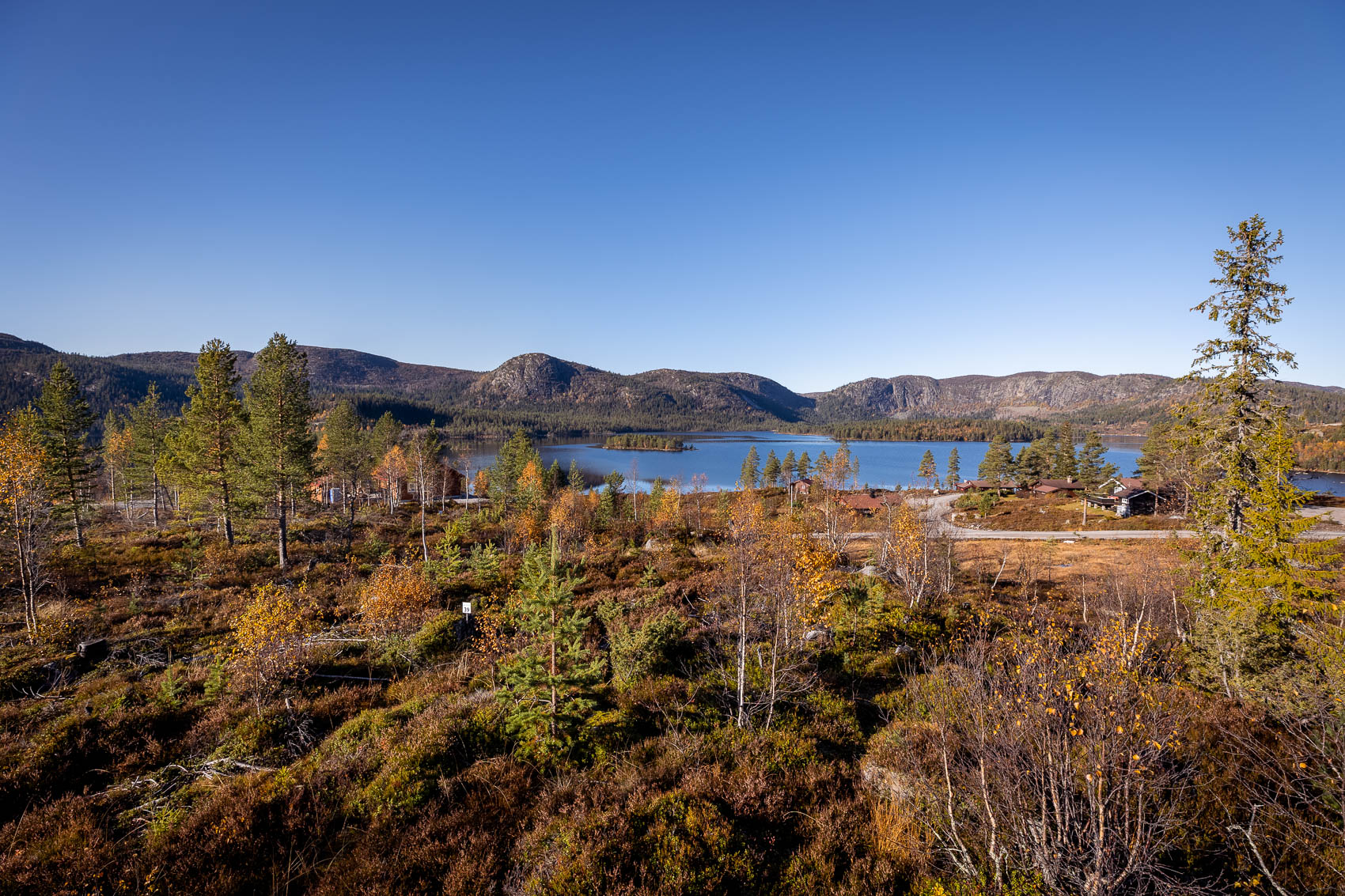 Hyttetomter i Birtedalen i Fyresdal kommune på Høsten