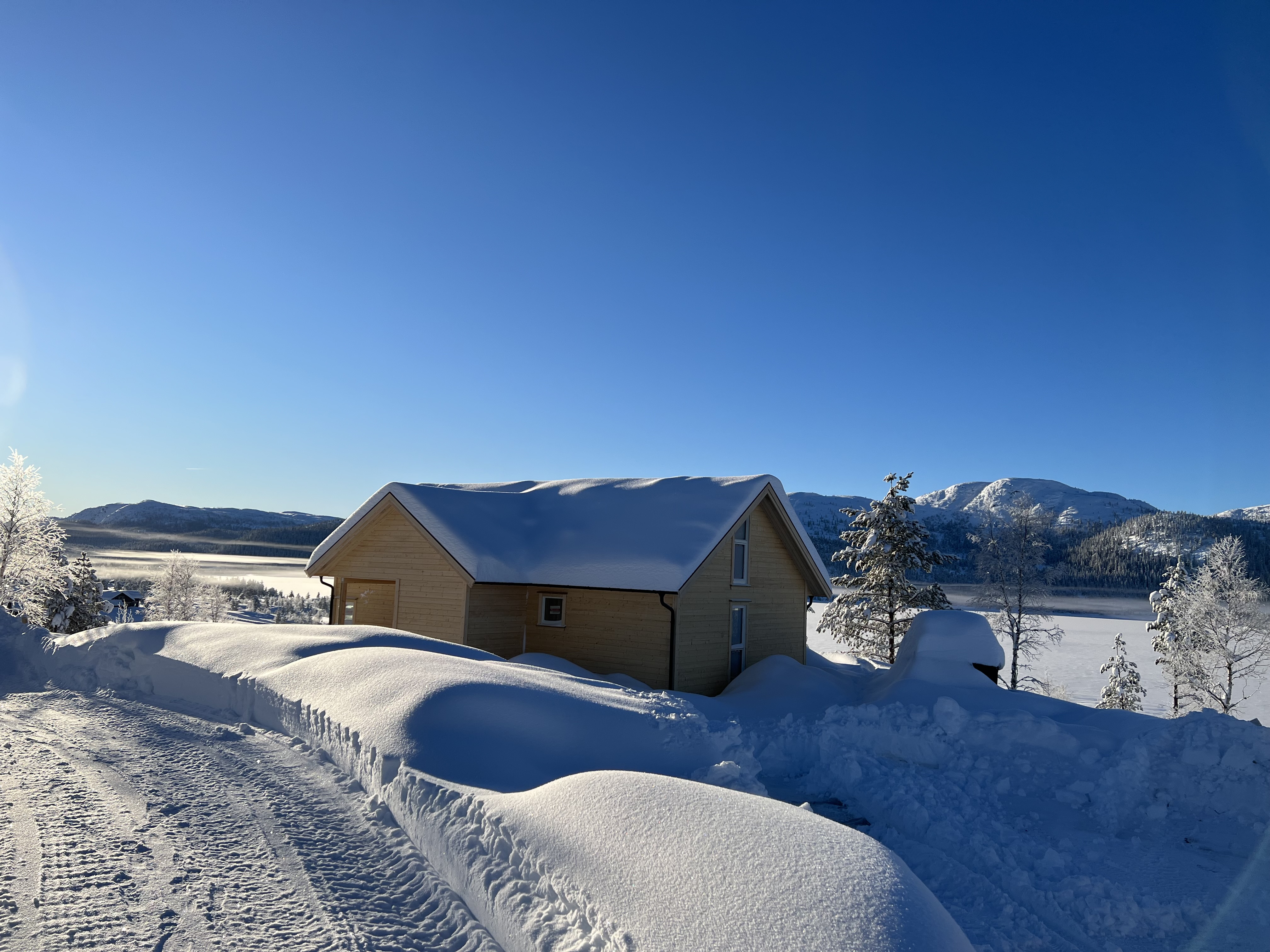 Hyttetomter i Birtedalen i Fyresdal kommune på vinter