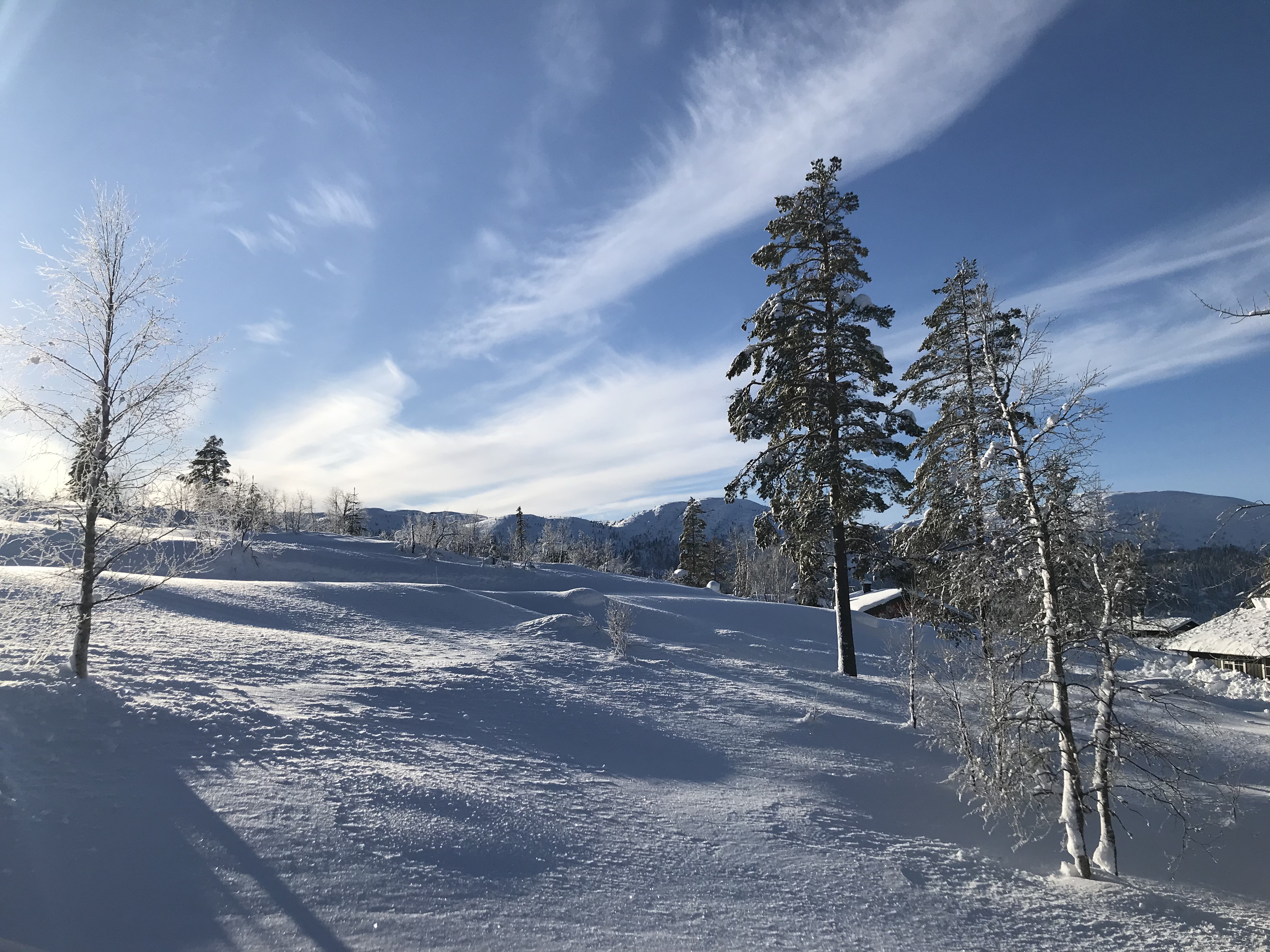 Hyttetomter i Birtedalen i Fyresdal kommune på vinter