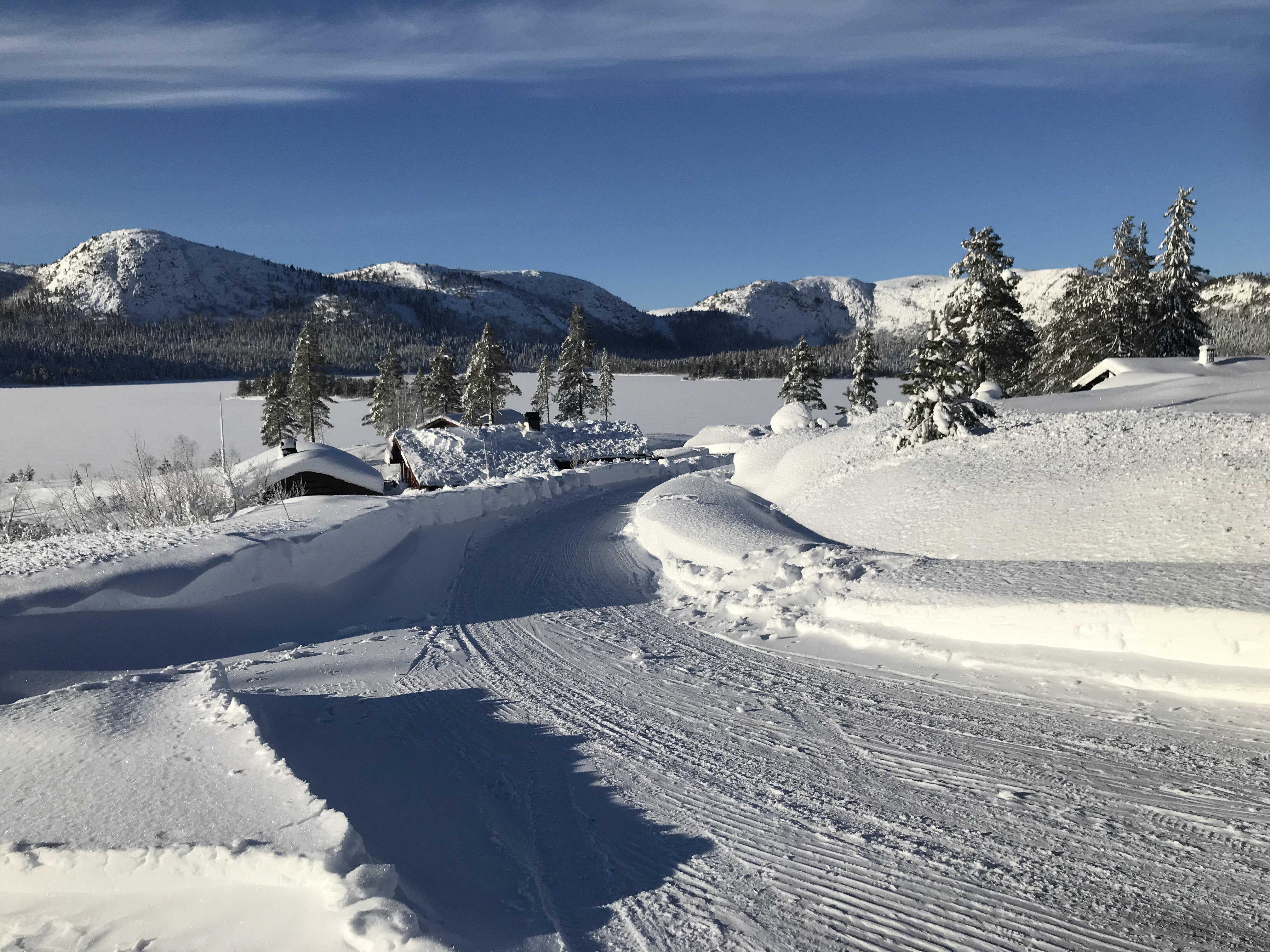 Hyttetomter i Birtedalen i Fyresdal kommune på vinter