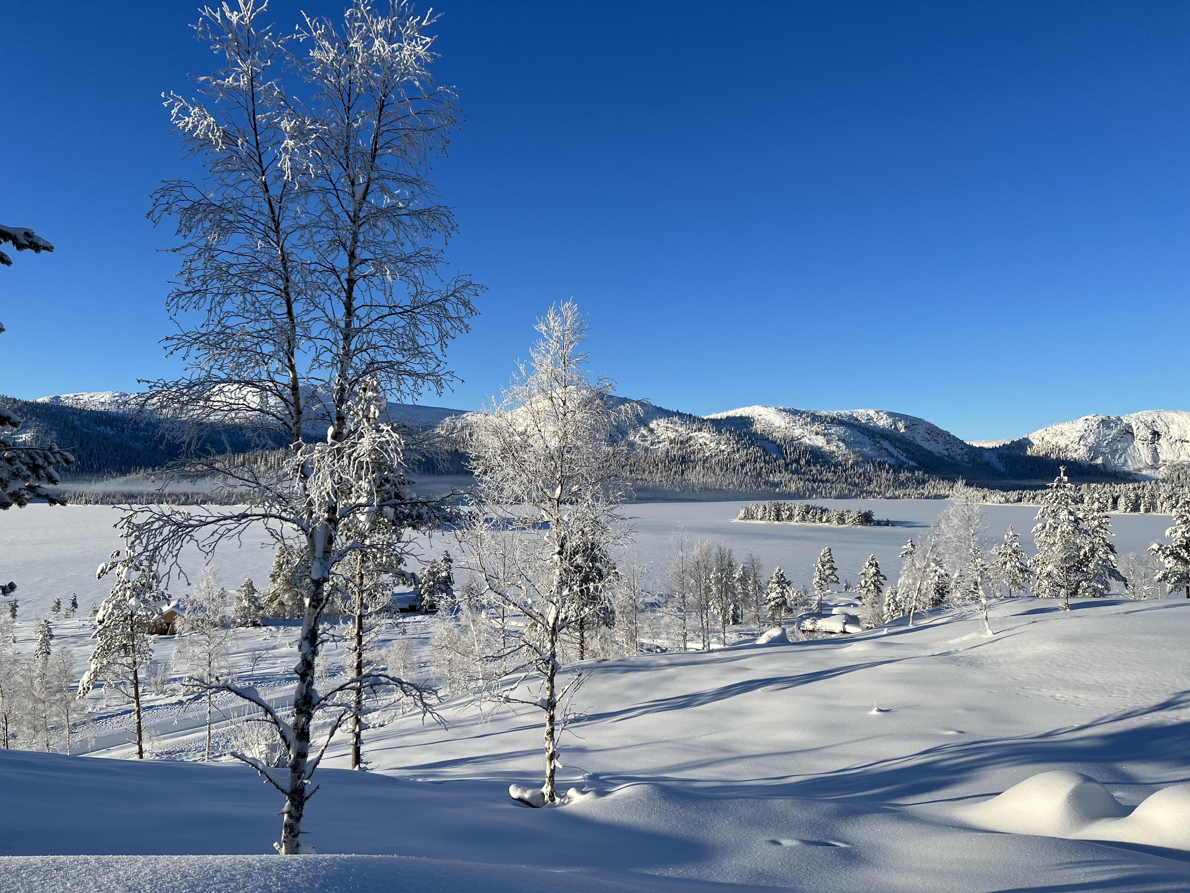 Hyttetomter i Birtedalen i Fyresdal kommune på vinter