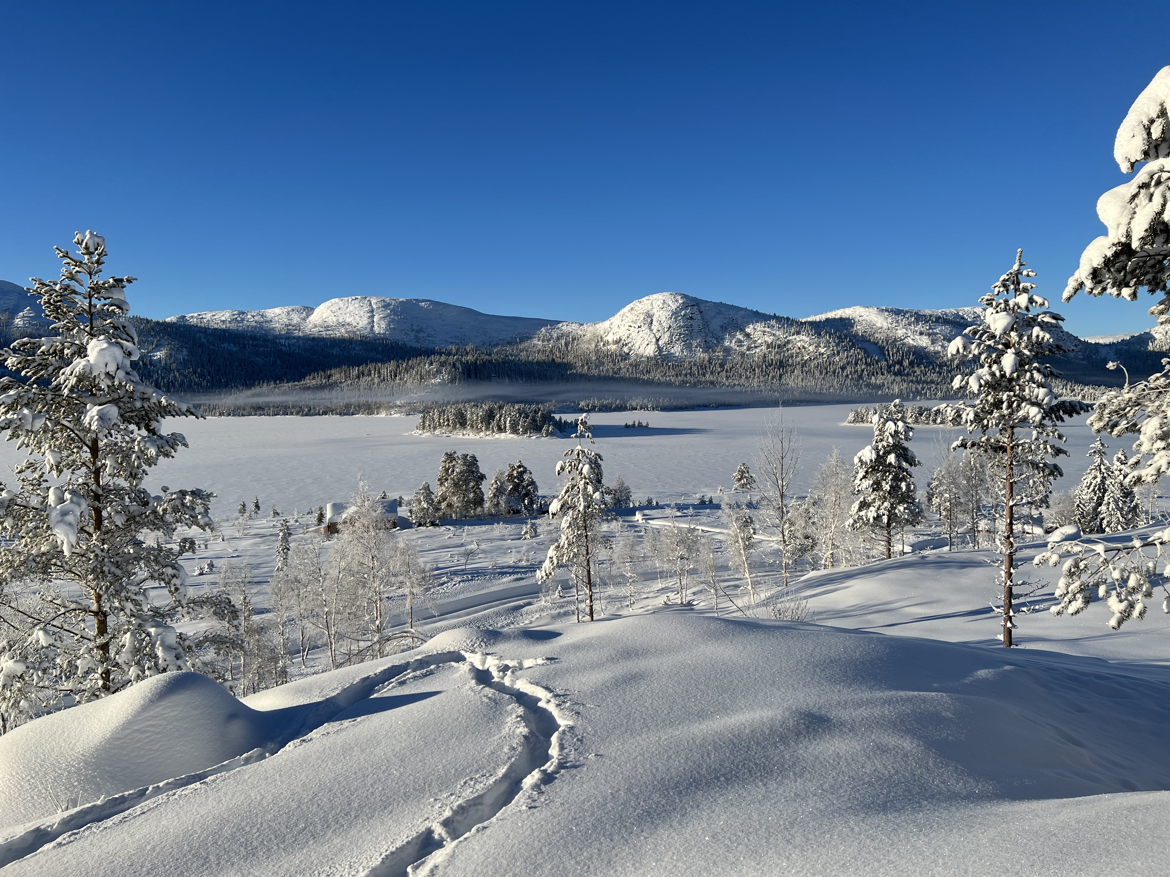 Hyttetomter i Birtedalen i Fyresdal kommune på vinter