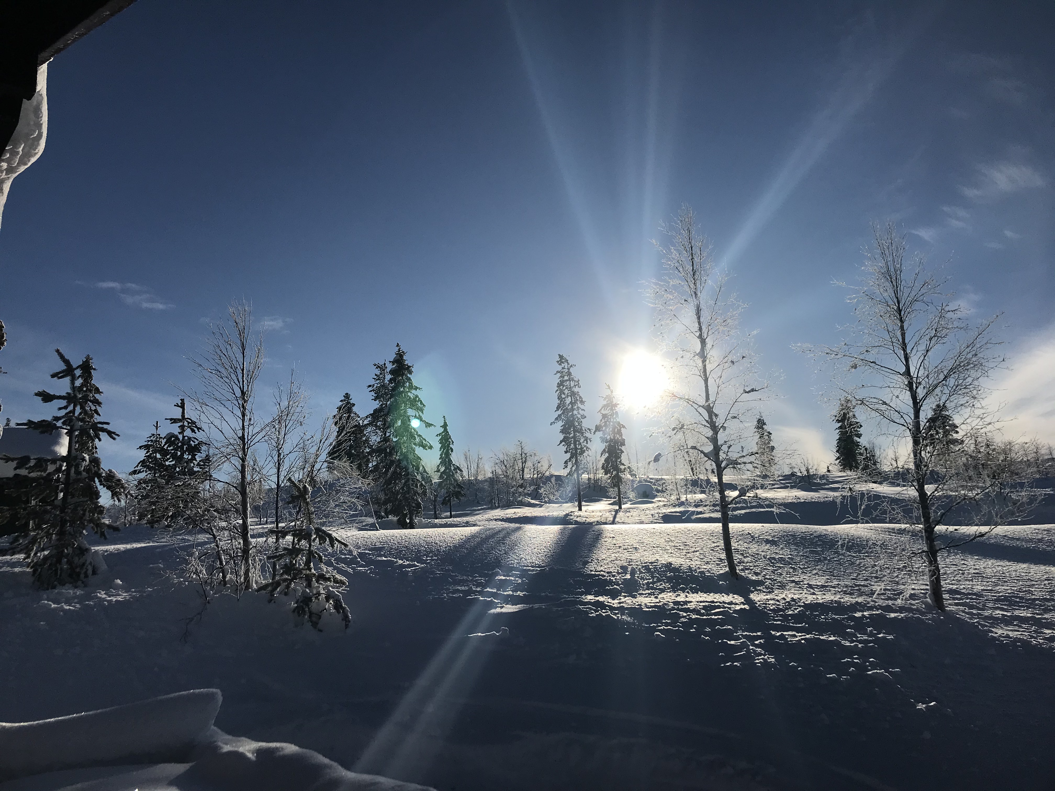 Hyttetomter i Birtedalen i Fyresdal kommune på vinter