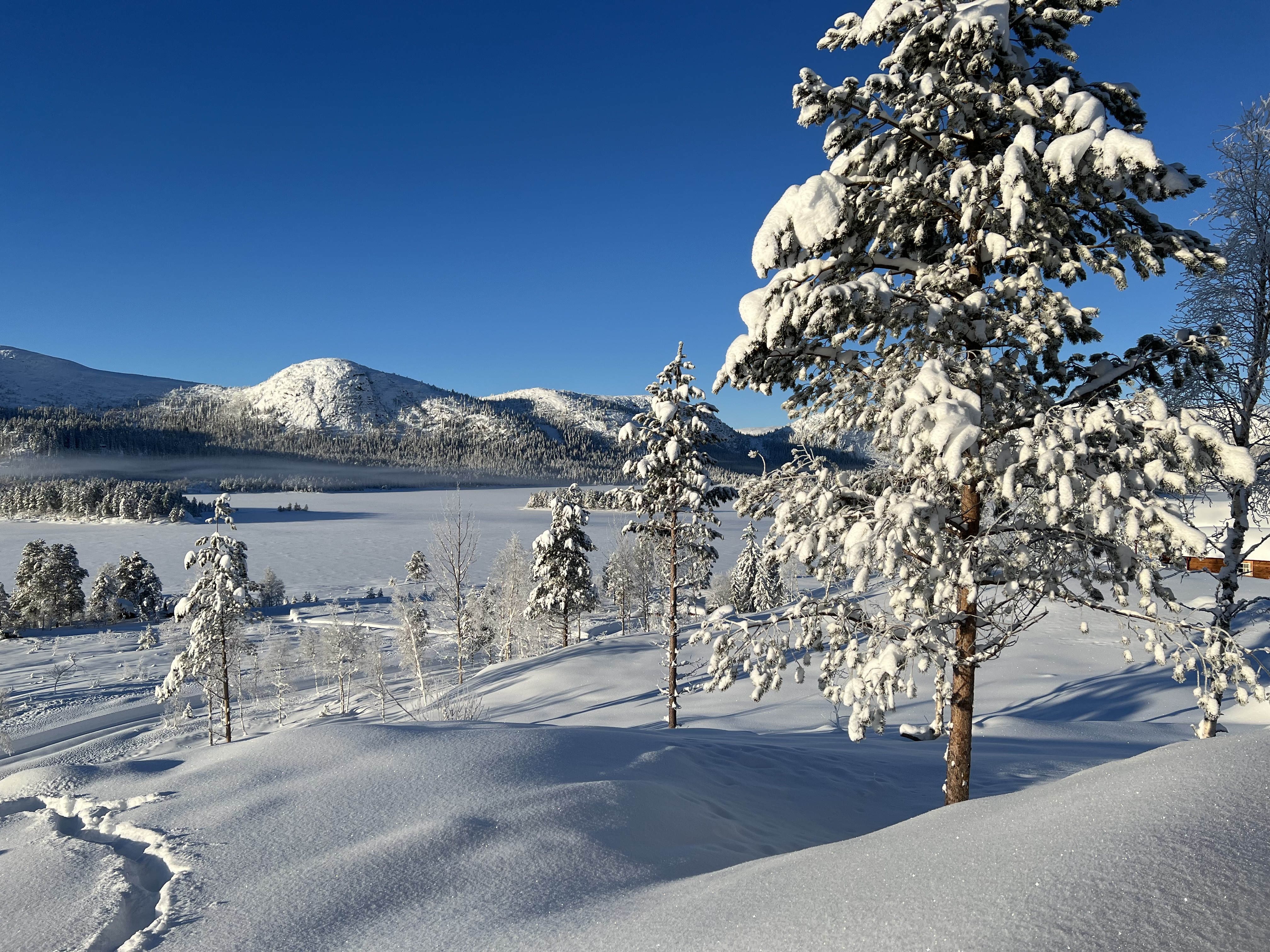 Hyttetomter i Birtedalen i Fyresdal kommune på vinter