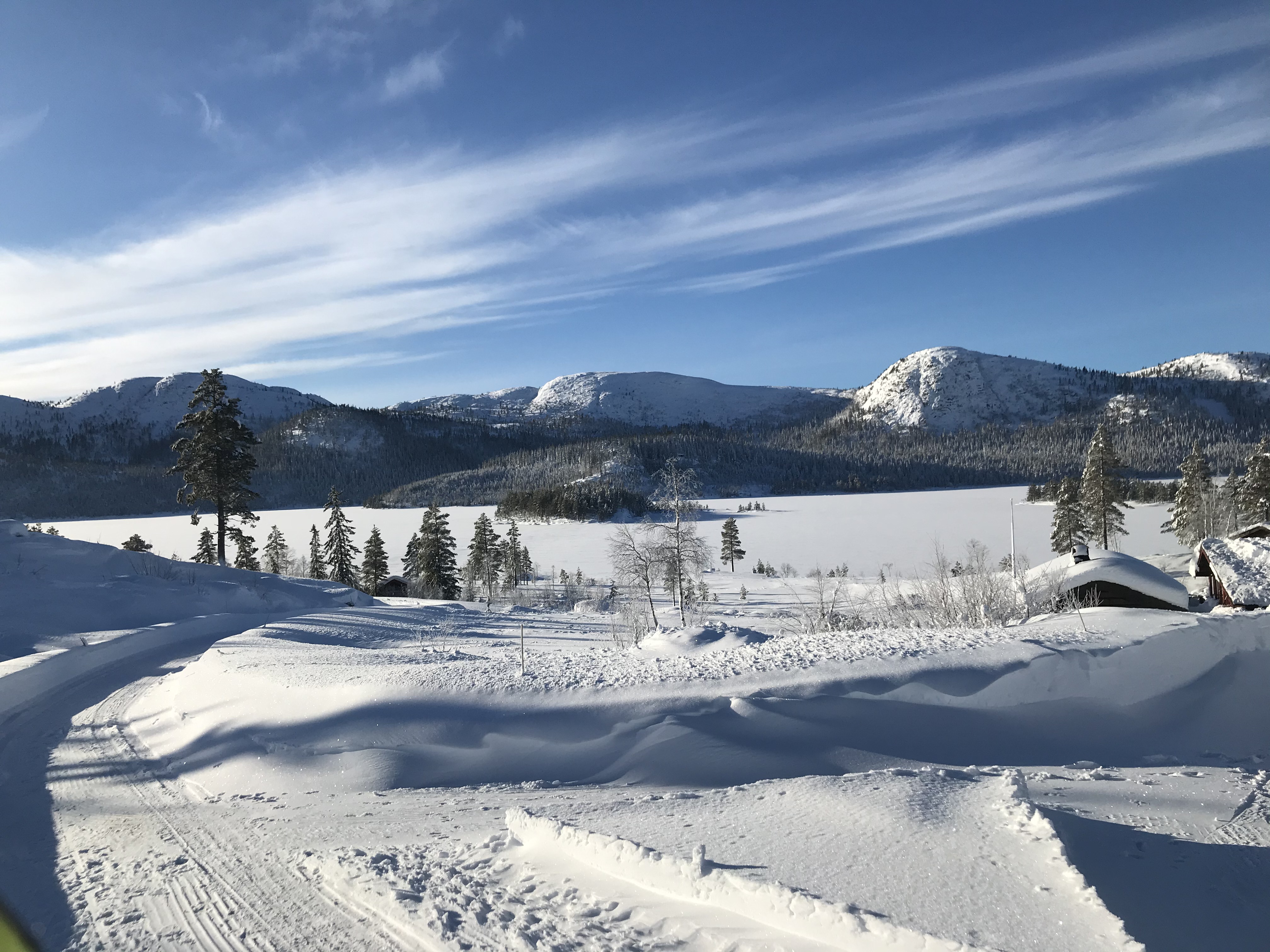 Hyttetomter i Birtedalen i Fyresdal kommune på vinter