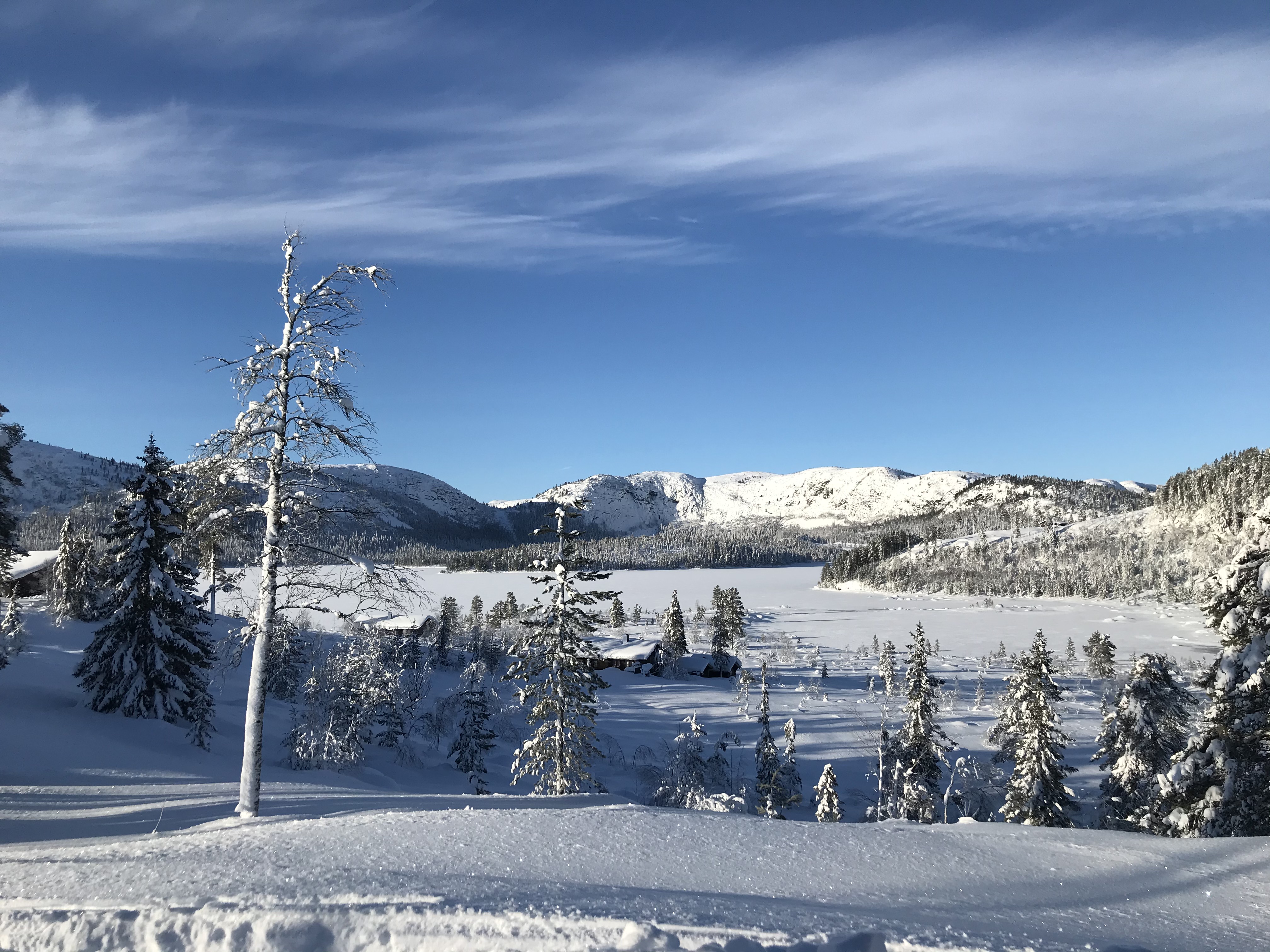 Hyttetomter i Birtedalen i Fyresdal kommune på vinter